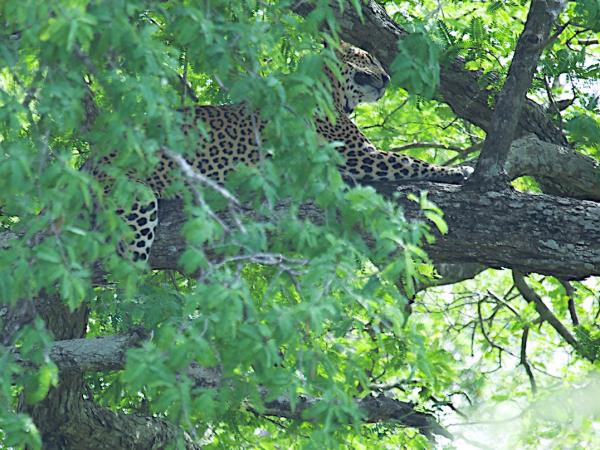 Sri Lanka small group holiday