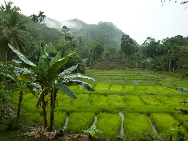 Sri Lanka small group holiday