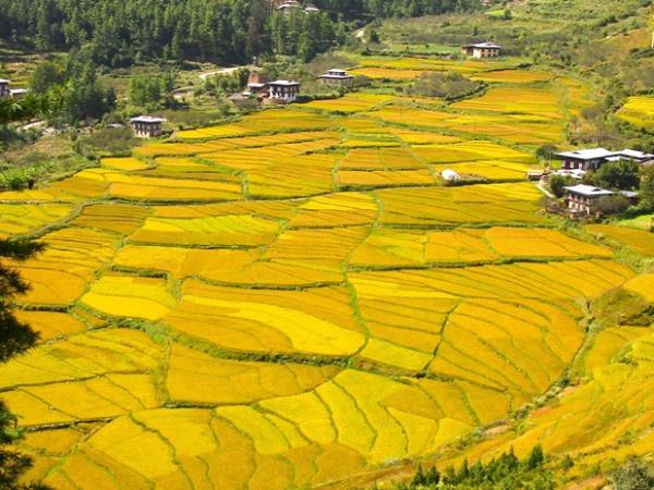 Bhutan walking holidays
