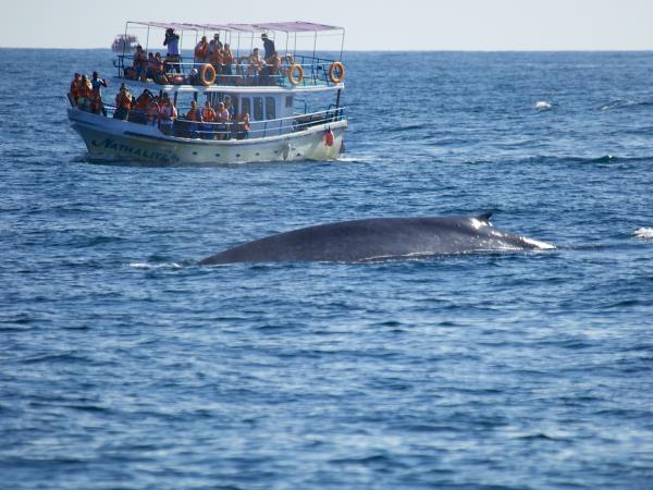 Sri Lanka wildlife holiday