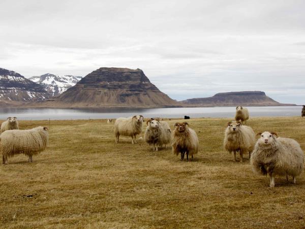 West Iceland self drive holiday