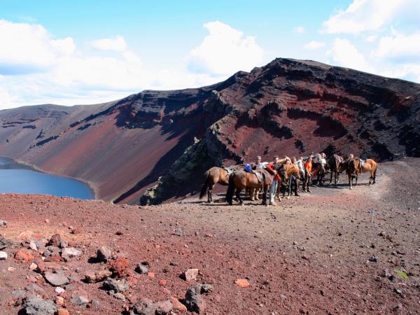 Iceland self drive holiday, whale watching & horse riding
