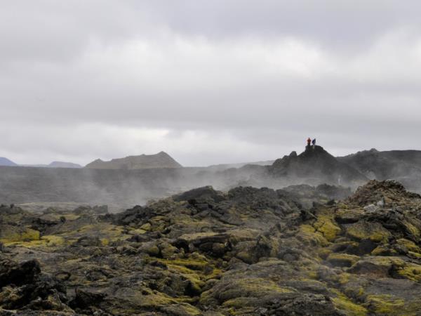 Iceland self drive holiday, whale watching & horse riding