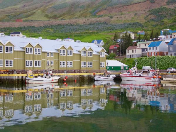 Iceland self drive holiday, whale watching & horse riding