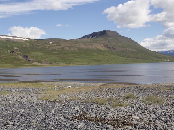 Iceland self drive holiday, whale watching & horse riding
