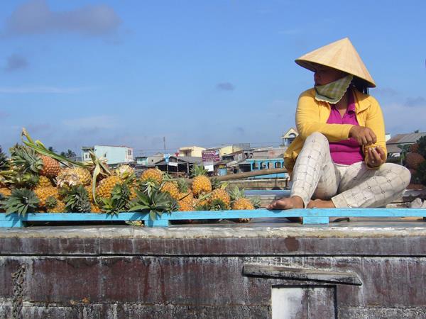 Vietnam and Cambodia 15 day tour, tailor made