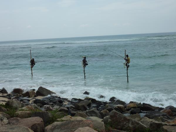 Family holiday in Sri Lanka, Forts & Monkeys