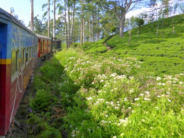 Sri Lanka 21 day tour