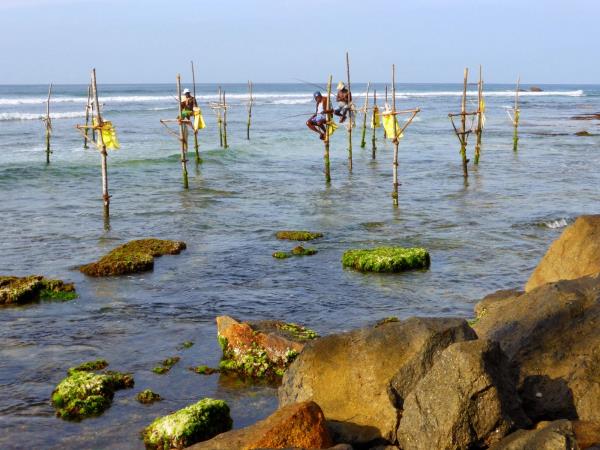 Sri Lanka 21 day tour