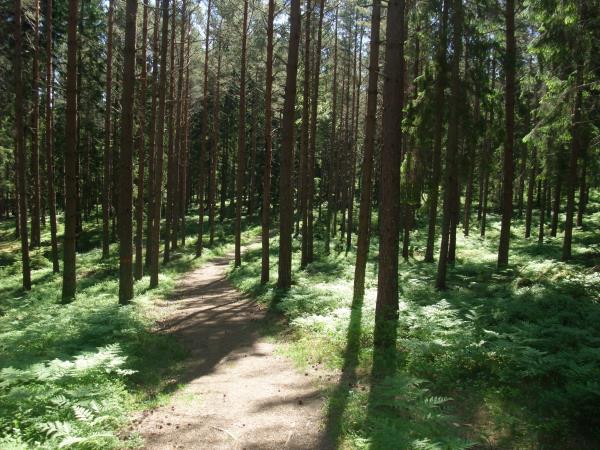 Sweden cycling holiday, Stockholm archipelago