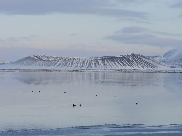 Iceland northern lights and snowshoeing holiday