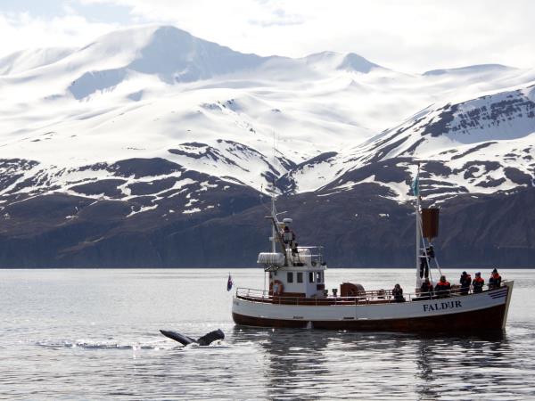 Wellbeing holiday in North Iceland