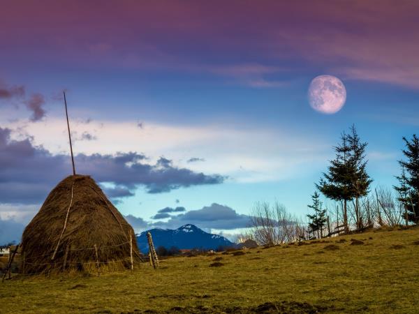 Halloween holiday in Transylvania with party at Bran Castle