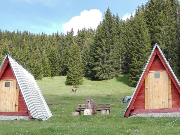 Balkan Lynx wildlife conservation holiday in Montenegro