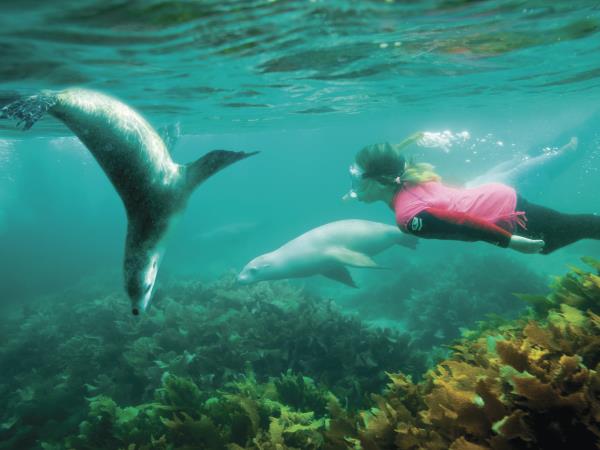 3 day tour of Port Lincoln and Coffin Bay, Australia