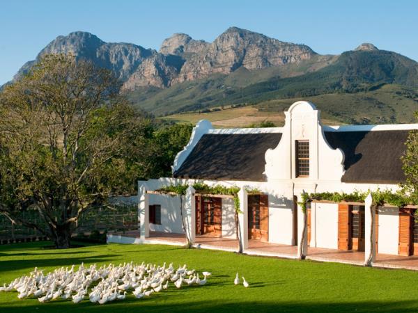 South Africa food & wine tour