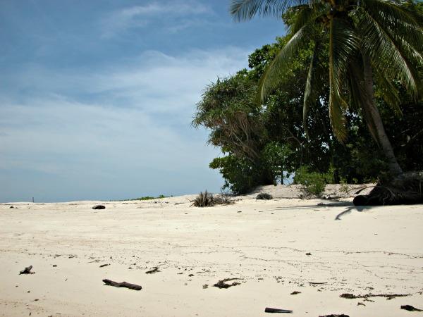 Malaysia and Borneo 15 day tour