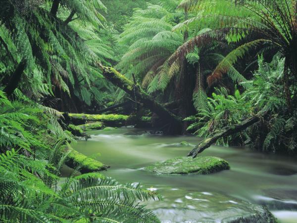 Adelaide to Melbourne 3 day tour, Australia