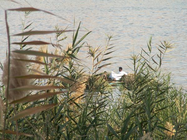 Nile felucca cruise for families