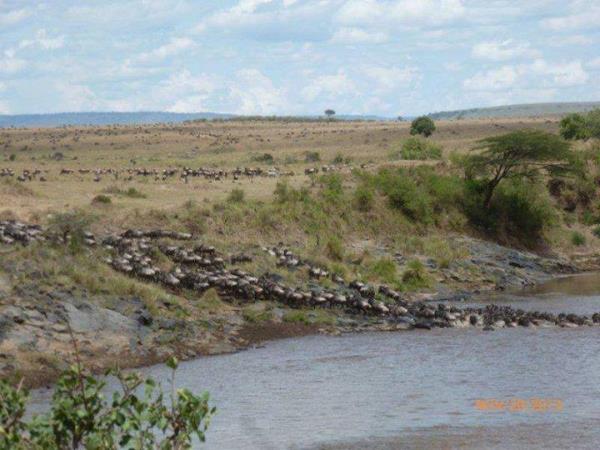Maasai Mara safari camp in Kenya