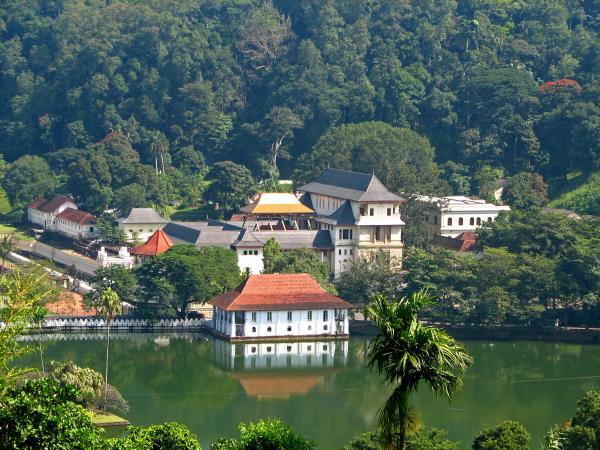 Sri Lanka tailor made tour, culture & nature