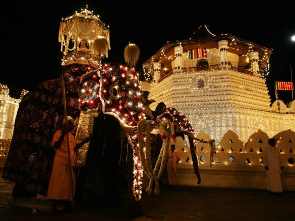 Sri Lanka tailor made tour, culture & nature