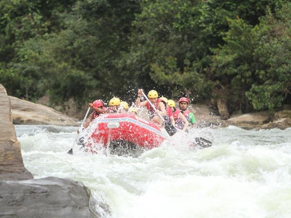 Sri Lanka tailor made tour, culture & nature
