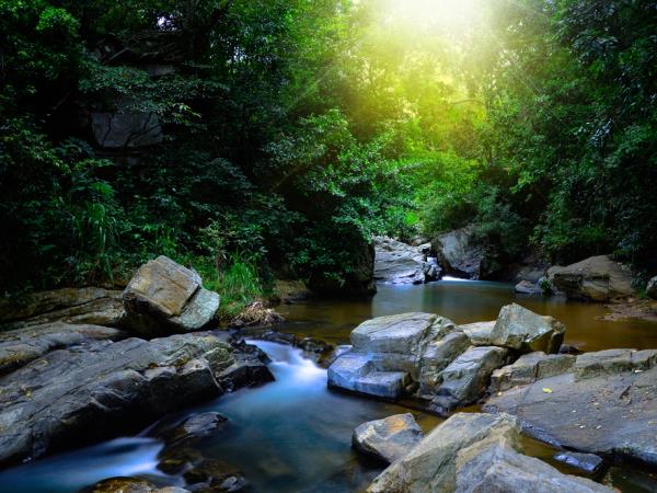 Sri Lanka tailor made tour, culture & nature