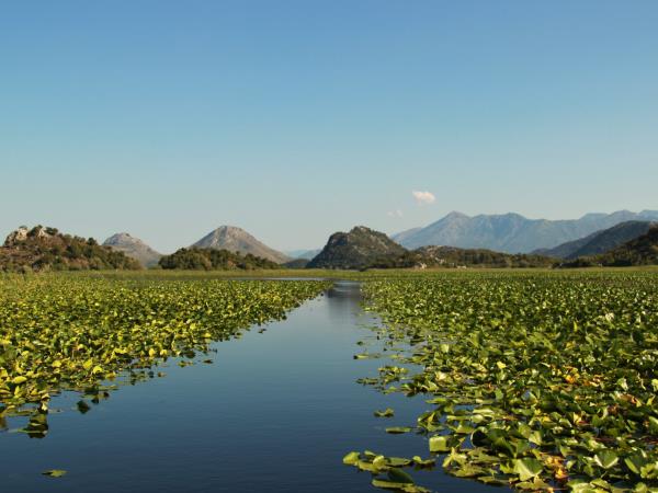 Canoeing and kayaking holiday in Montenegro, Lake Skadar