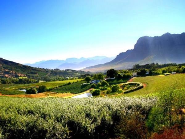 South Africa food & wine tour