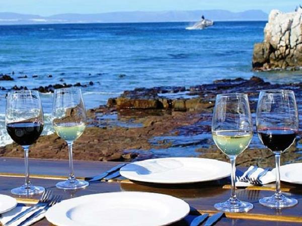 South Africa gourmet tour
