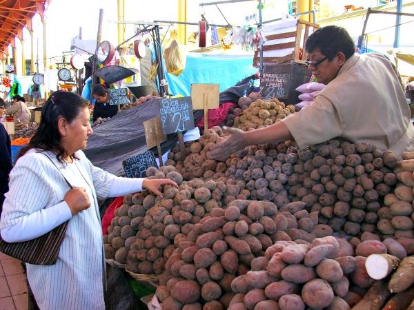 A taste of Peru holiday, 14 days
