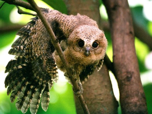 Sri Lanka trekking holiday