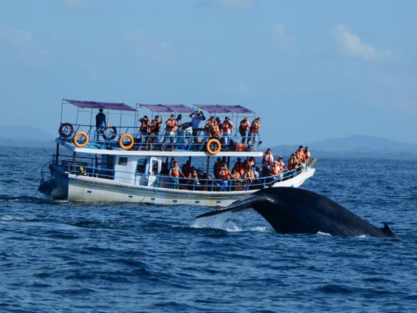 Sri Lanka wildlife holiday, tailor made