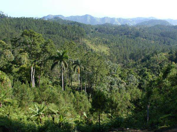 Active Cuba holiday, tailor made