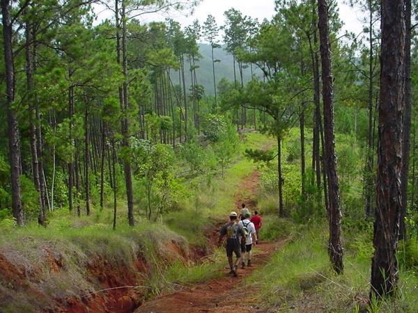 Active Cuba holiday, tailor made
