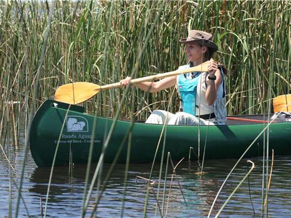 Argentina wildlife holiday, wetlands & Patagonia