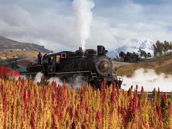 Ecuador by train holiday, culture and nature