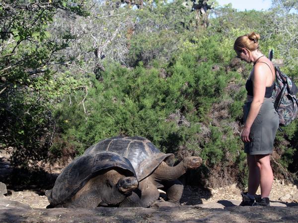 Peru and Galapagos holiday