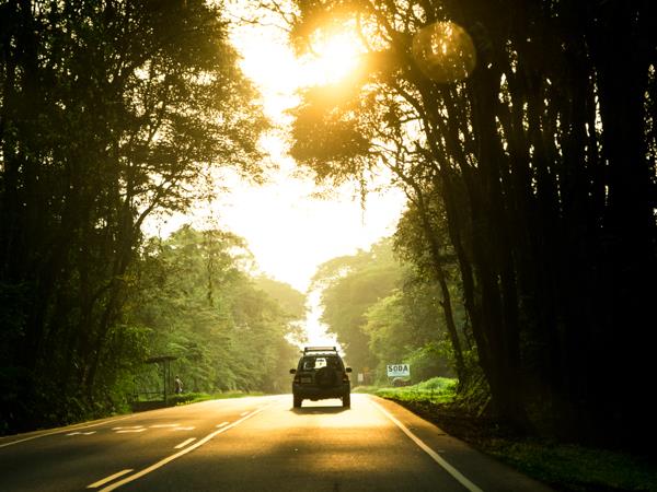 Costa Rica self drive holiday, nature and wildlife