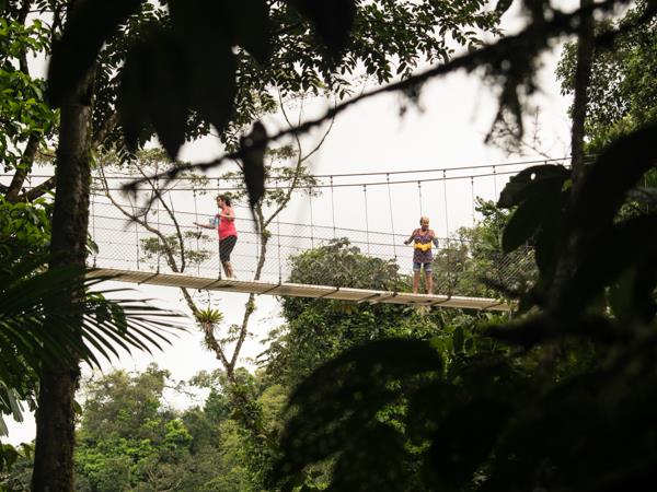 Costa Rica wildlife holiday, private depature