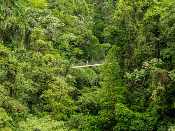 Costa Rica wildlife holiday, private depature
