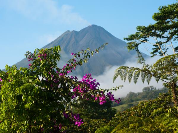 Costa Rica wildlife holiday, private depature