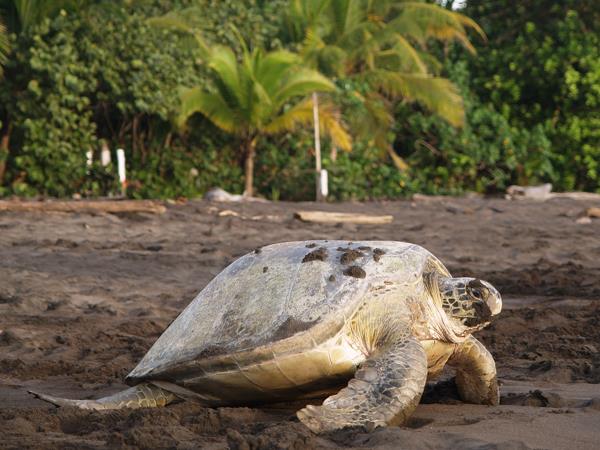 Costa Rica holiday, tailor made