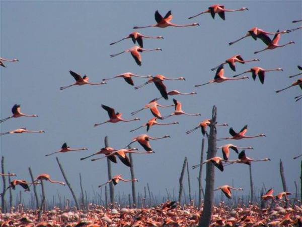 Eastern Cuba self drive holiday