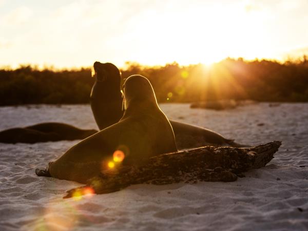 Ecuador & Galapagos holiday, tailor made