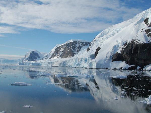 Antarctica Peninsula, Falklands & South Georgia wildlife holiday