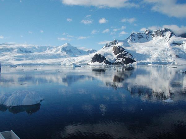 Antarctica Peninsula, Falklands & South Georgia wildlife holiday