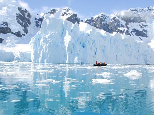 Antarctica Peninsula, Falklands & South Georgia wildlife holiday