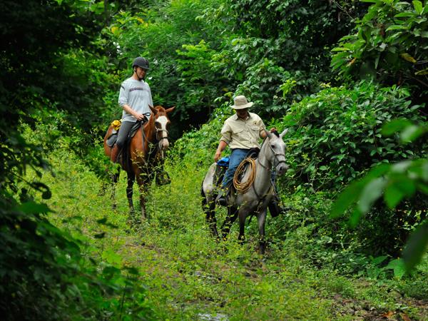 Costa Rica luxury holiday, activity & nature